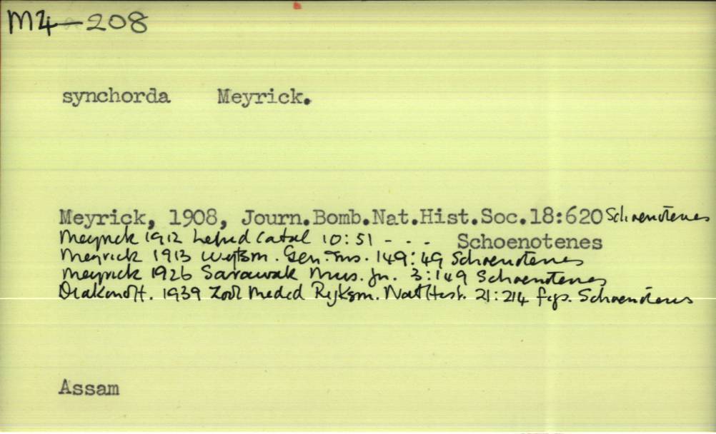 front of card